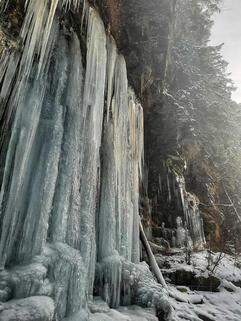 Котедж Кресаня Mykulytjyn Exteriör bild