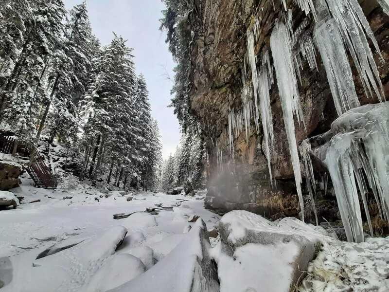 Котедж Кресаня Mykulytjyn Exteriör bild